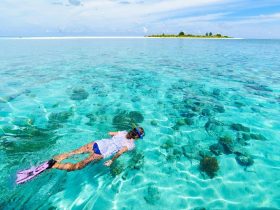 Wakatobi Pede Buka Wisata Selam, Ini 10 Aturan di New Normal