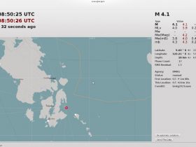 Gempa 4,1 SR Guncang Wilayah Buranga Butur