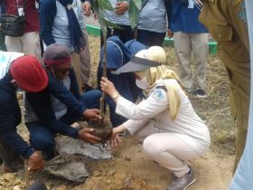 Peringati Hari Air Dunia ke-29, BWS Sulawesi IV Kendari Tanam Ratusan Pohon Produktif