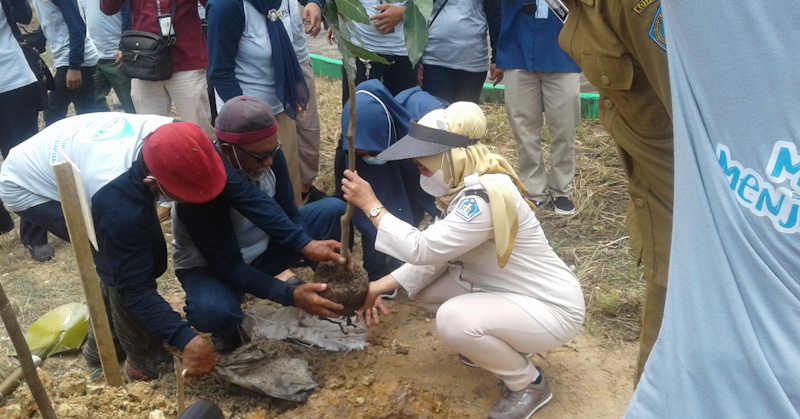 Peringati Hari Air Dunia ke-29, BWS Sulawesi IV Kendari Tanam Ratusan Pohon Produktif