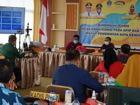 Pemkot Kendari Gandeng BPKP Sultra Gelar Bimtek Manajemen Risiko