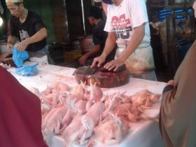 Harga ayam yang sebelumnya hanya berkisar di harga Rp50.000 dengan ukuran normal dan Rp65.000 ukuran jombo, kini naik hingga kisaran Rp70.000 sampai Rp80.000 per ekor.