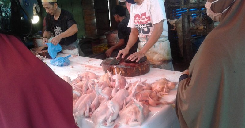 Harga ayam yang sebelumnya hanya berkisar di harga Rp50.000 dengan ukuran normal dan Rp65.000 ukuran jombo, kini naik hingga kisaran Rp70.000 sampai Rp80.000 per ekor.
