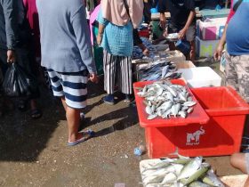 Mei 2021, Harga Ikan di Kendari Naik, Ini Penyebabnya