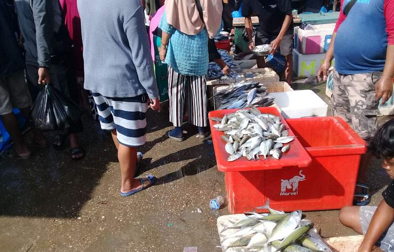 Mei 2021, Harga Ikan di Kendari Naik, Ini Penyebabnya