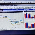 Pertumbuhan Ekonomi Sultra Membaik, Pengamat Sarankan Pemprov Segera Lakukan Pemulihan Ekonomi