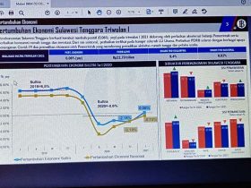 Pertumbuhan Ekonomi Sultra Membaik, Pengamat Sarankan Pemprov Segera Lakukan Pemulihan Ekonomi