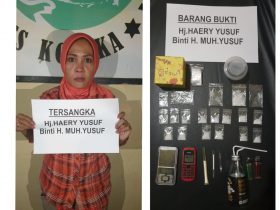 Miliki Sabu, Seorang IRT di Kolaka Diamankan Polisi