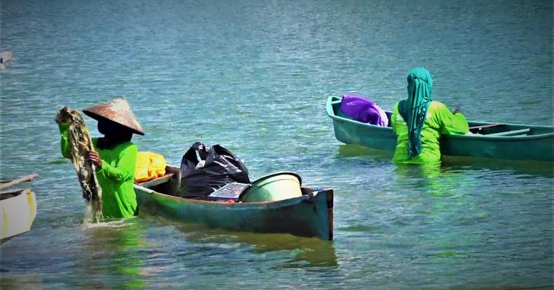 Aksi Bersih Sampah di Laut Kendari, Warnai Peringatan HLHS