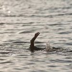 Seorang TKA Dilaporkan Hilang di Muara Sungai Sampara Konawe