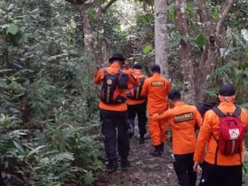 Seorang Lansia di Konawe Hilang Saat Mencari Kayu di Hutan