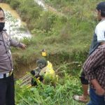 Hilang Kendali, Mobil Agya Masuk Jurang di Kendari