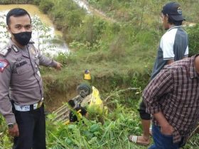 Hilang Kendali, Mobil Agya Masuk Jurang di Kendari