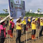 Selamatkan Kawasan Pesisir, Kapolda Sultra Tanam 2000 Bibit Mangrove di Teluk Kendari