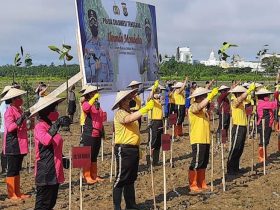 Selamatkan Kawasan Pesisir, Kapolda Sultra Tanam 2000 Bibit Mangrove di Teluk Kendari