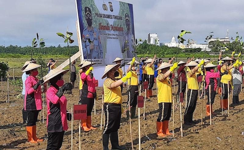 Selamatkan Kawasan Pesisir, Kapolda Sultra Tanam 2000 Bibit Mangrove di Teluk Kendari