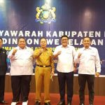 Kembali Nahkodai Kadin Konsel, Adi Jaya Putra Fokus Pada Pengembangan UMKM