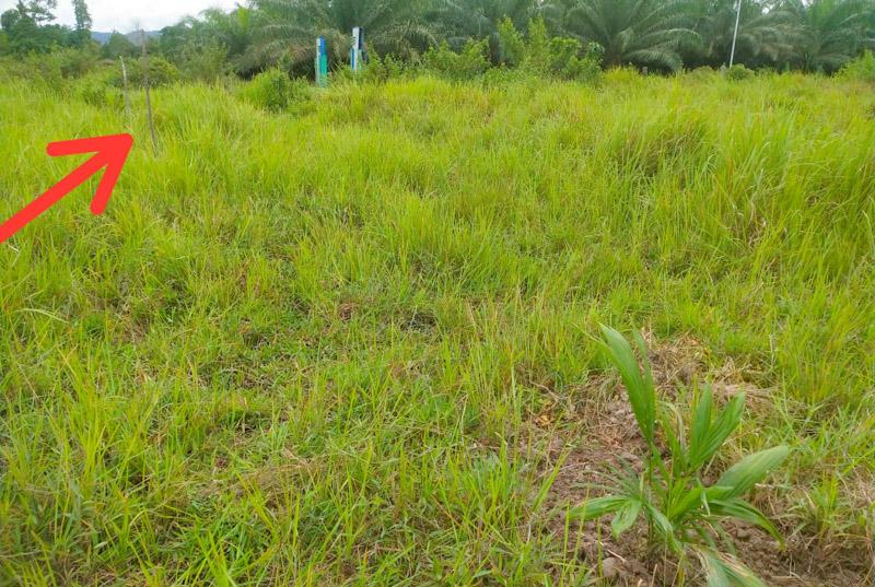 Lahan Cagar Budaya Makam Tutuwi Motaha di Anggaberi Diduga Diserobot OTK