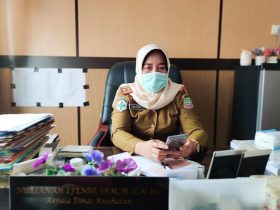 Melalui Dinkes, Pemda Konut Mekarkan 3 Puskesmas