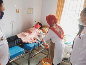 Dinas PPKB Konut Buka Pelayanan KB Gratis di Kantor