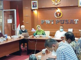 Hadiri HPN di Kendari, Presiden Jokowi Akan Tanam Mangrove dan Lepas Hewan Endemik