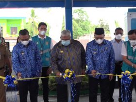 Sulkarnain dan Ruksamin Bagi Pengalaman Gunakan Mobil Listrik di Peresmian SPKLU