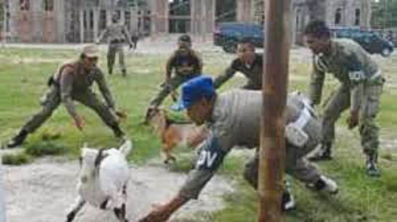 Satpol PP Konut Tangkap Puluhan Ekor Hewan Ternak Berkeliaran, Pemilik Didenda