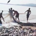Warga Taipa Ramai Jaring Ikan Cakalang, Kapolsek Sawa : Memang Lagi Musimnya