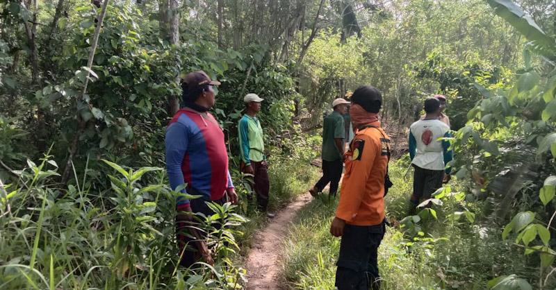 Seorang Warga Koltim Hilang di Hutan Usai Memetik Merica