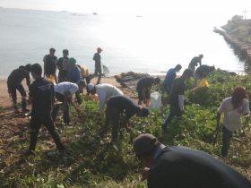 HUT KPLP, KSOP Kendari Gelar Baksos di 3 Pelabuhan