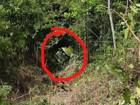 Kecalakaan Tunggal, Mobil Tambang Masuk Jurang, Pengemudi Patah Tulang