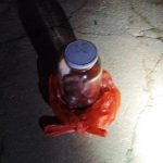 Pasutri Dikagetkan Janin Dalam Toples Dipembuangan Sampah