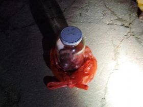 Pasutri Dikagetkan Janin Dalam Toples Dipembuangan Sampah