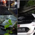 Pohon Tumbang Timpa Mobil Mewah di Kendari
