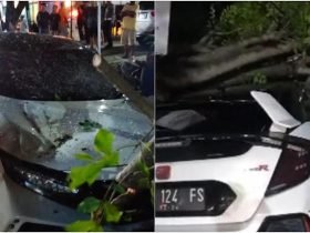 Pohon Tumbang Timpa Mobil Mewah di Kendari