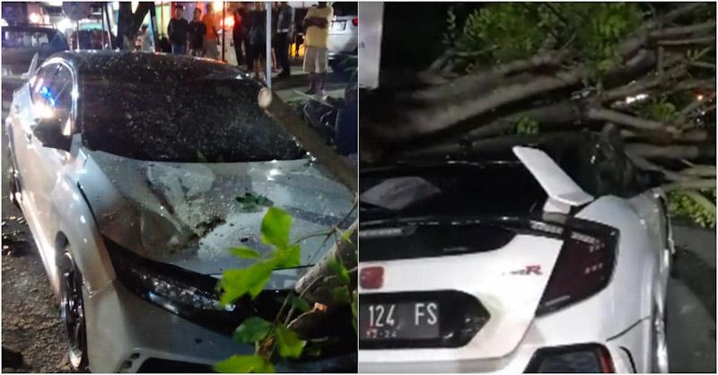 Pohon Tumbang Timpa Mobil Mewah di Kendari