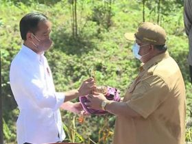 Gubernur Sultra Bawa Tanah dari Keraton Buton dan Air Suci dari Sangia Nibandera Mekongga ke IKN