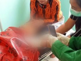 Seorang Pria di Konsel Bunuh Ibu Kandungnya, Diduga Alami Gangguan Kejiwaan