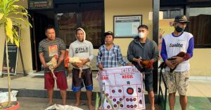 Lima Pelaku Sabung Ayam Dan Judi Dadu di Konawe Diciduk Polisi