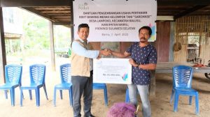 Tingkatkan Kesejahteraan Petani Kabupaten Barru, PLN Salurkan 1650 Kg Bibit Bawang Merah