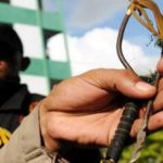 Tukang Ojek di Kendari Terkena Busur Saat Pulang ke Kosnya