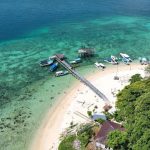 CSR PLN, Hidupkan Kembali Surga Bawah Laut di Selat Makassar