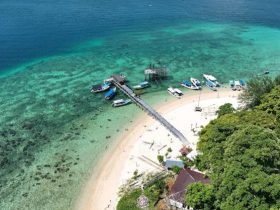 CSR PLN, Hidupkan Kembali Surga Bawah Laut di Selat Makassar