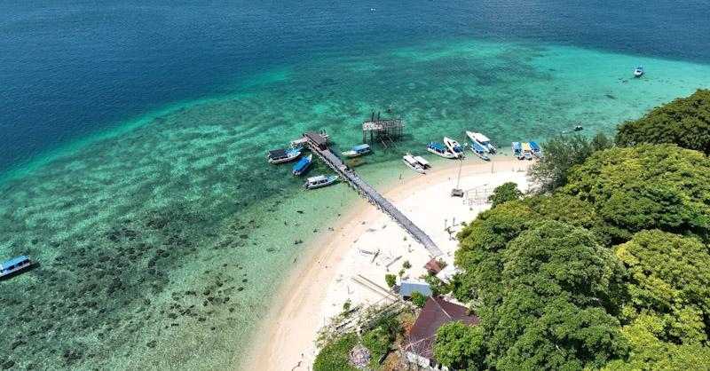 CSR PLN, Hidupkan Kembali Surga Bawah Laut di Selat Makassar