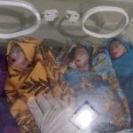 Satu dari Bayi Kembar 4 Asal Koltim Meninggal, Tiga Dirawat Intensif