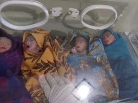 Satu dari Bayi Kembar 4 Asal Koltim Meninggal, Tiga Dirawat Intensif