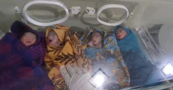Satu dari Bayi Kembar 4 Asal Koltim Meninggal, Tiga Dirawat Intensif
