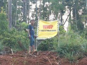 Tegas! Perusahaan Yang Nambang di IUP PT MOM Tanpa Koordinasi Akan Diproses Hukum