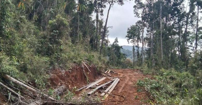 Tegas! Perusahaan Yang Nambang di IUP PT MOM Tanpa Koordinasi Akan Diproses Hukum