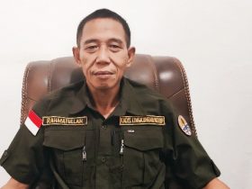 Kepala Dinas Lingkungan Hidup (DLH) Kabupaten Konawe Utara (Konut), Sulawesi Tenggara (Sultra),